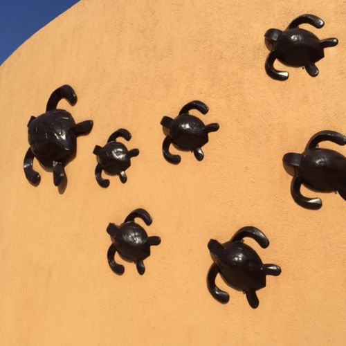 Tortugas de fibra de vidrio imitacion acero colgadas en la pared de un hotel en Los Cabos