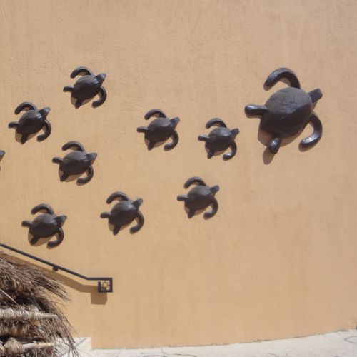 Set de Tortugas gigantes imitacion acero colgadas en una pared