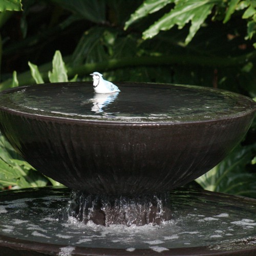 Detalle de ultimo nivel de fuente japonesa de Fiberland