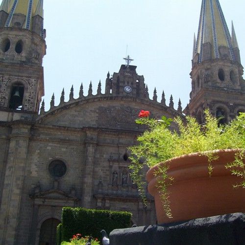 Macetas de Fiberland Tinas redondas en Plaza Guadalajara