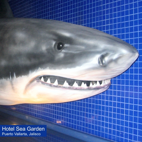 Tiburon blanco de fibra de vidrio tamaño real para el Hotel SeaGarden de Nuevo Vallarta